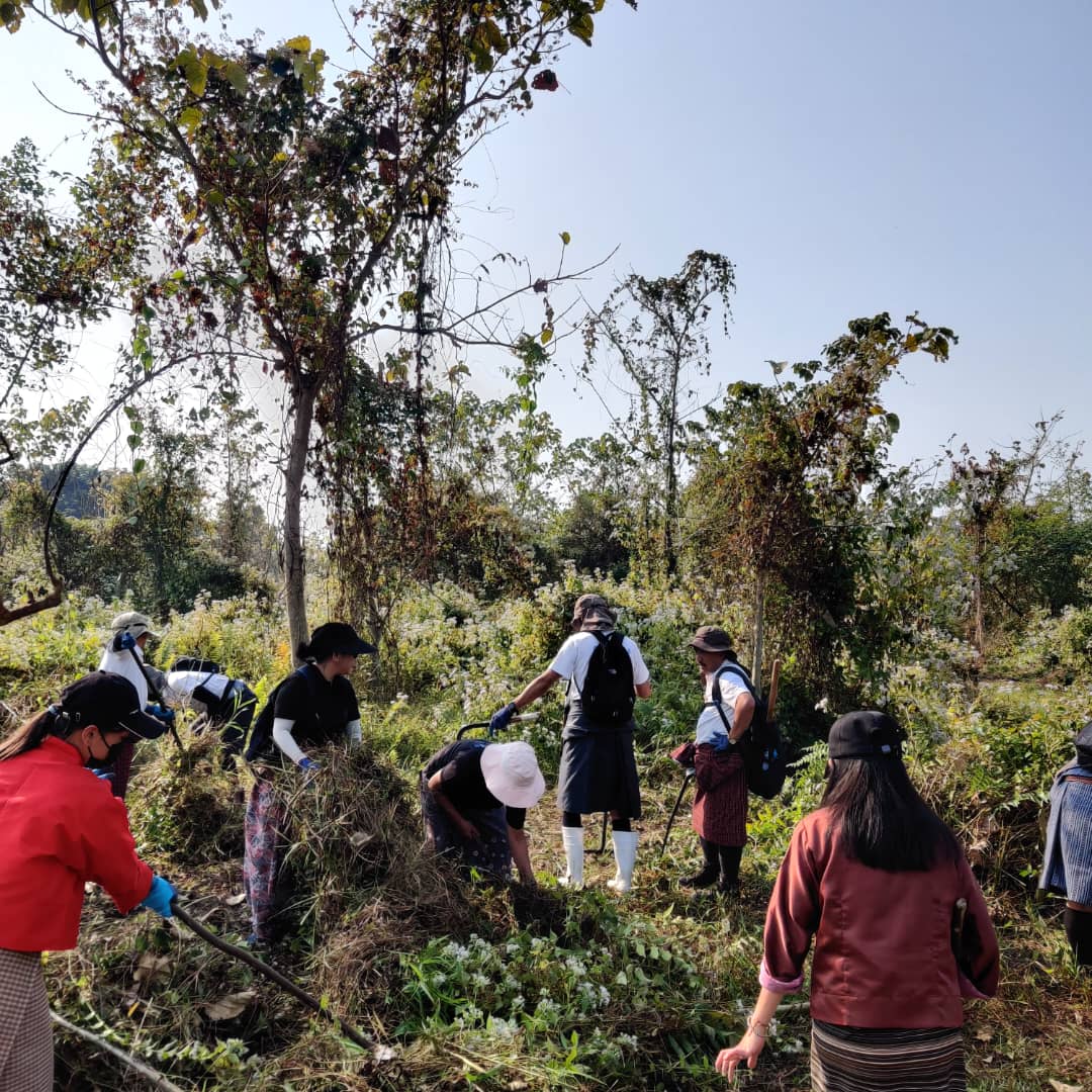 Team members contributing to Gelephu Mindfulness City development
