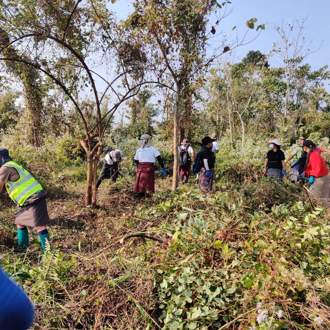 Volunteerism activities at Gelephu Mindfulness City